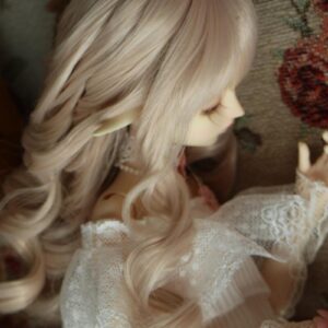 1/6 BJD Doll Wigs