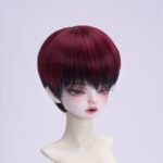 Short fashion boy doll hair - 1/3 1/4 1/6 doll wig
