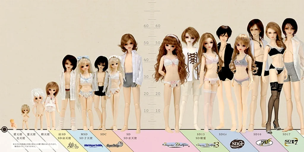 bjd beginners one stop learning guide