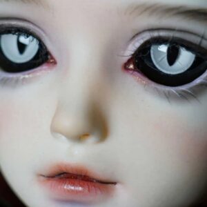Custom Resin BJD Doll Eyes – Realistic Animal Eyes for Dolls (8എംഎം-24 മിമി)
