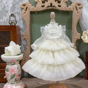 Alang sa Blythe 1/3 1/4 1/6 Malinaw nga BJD Princess Doll Dress